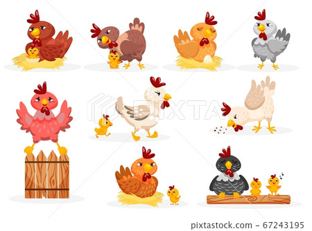Hen and chicks set 67243195
