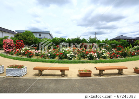 小玫瑰園 67243388