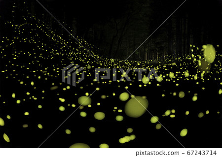 靜岡縣御殿場市的姬頭丸 67243714