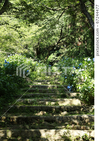 Approach to Amabiki Sanrakuji Temple Approach to Amabiki Sanrakuji Temple 67244477