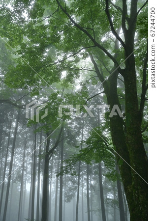 霧山 霧山 67244700