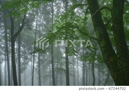 霧山 霧山 67244702