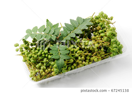 Sansho fruit Sansho fruit 67245138