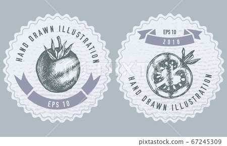 Monochrome labels design with illustration of grilled tomato 67245309