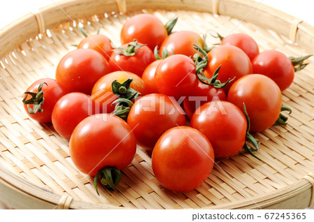 Mini Tomato Mini Tomato 67245365