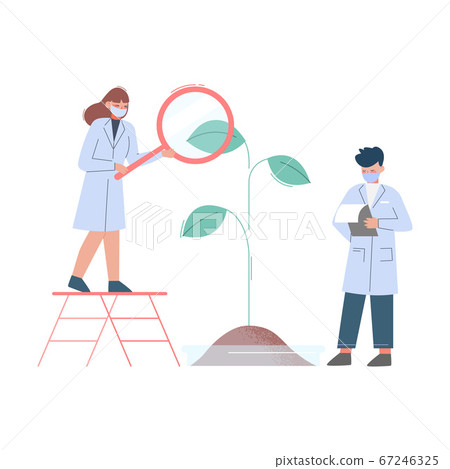 Scientists in Lab, Team of Bioengineers in White Coat and Medical Face Mask Doing Professional Science Researchers with Plant and Magnifying Gass Flat Style Vector Illustration Scientists in Lab, Team of Bioengineers in White Coat and Medical Face Mask Doing Professional Science Researchers with Plant and Magnifying Gass Flat Style Vector Illustration 67246325