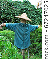 A scarecrow standing in a garden, wearing a blue shirts . 67247025