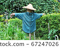A scarecrow standing in a garden, wearing a blue shirts . 67247026