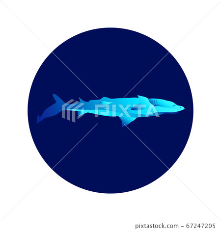 Shark Circle Icon 67247205