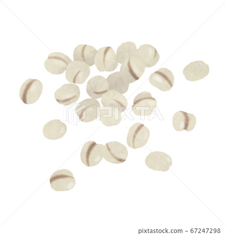 Hand drawn illustration of Hatome 67247298