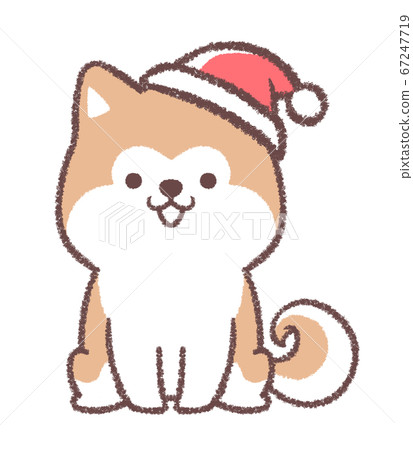 秋田犬戴著聖誕帽 秋田犬戴著聖誕帽 67247719