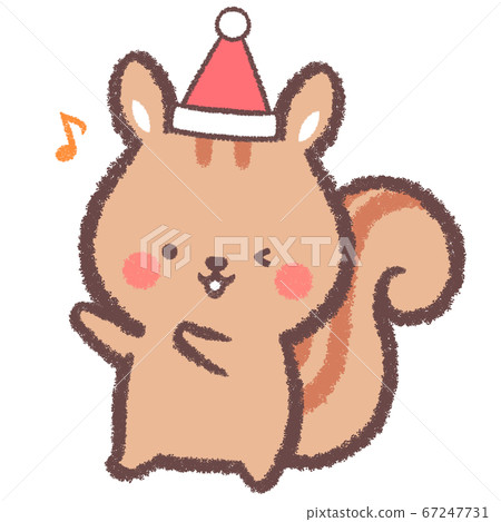 松鼠戴著聖誕帽 67247731