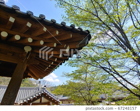 韓國語含義，韓國風景，韓屋，韓國形象，韓屋風景，韓屋形象，瓷磚房，石牆，罐子，江都，傳統建築 67248157