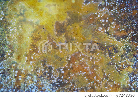 Brown rust usually occurs in areas with high water 67248356