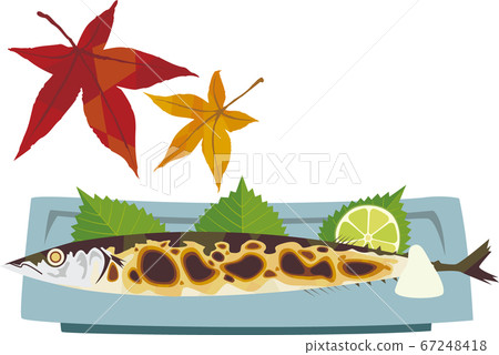 Salt-grilled saury 67248418