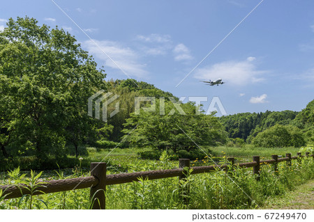 濕地公園新鮮的綠化和飛機 濕地公園新鮮的綠化和飛機 67249470