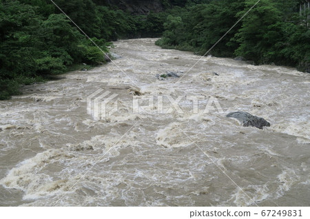 bi美川町的櫻口河 67249831