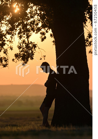 Portrait young man alone at sunset Portrait young man alone at sunset 67250458