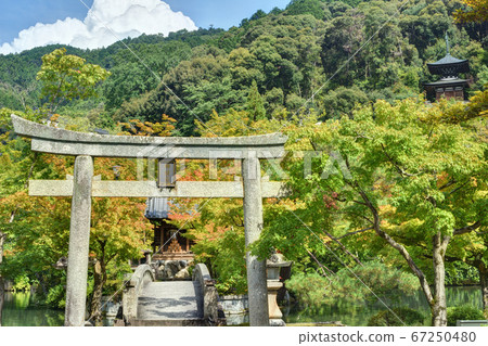 Gokurakubashi and Torii of Eikando 67250480