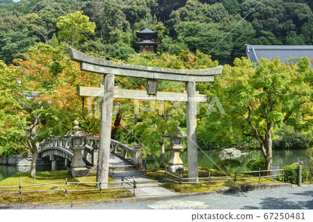 Gokurakubashi and Torii of Eikando 67250481