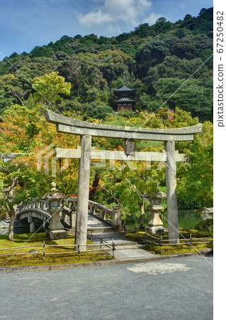 Eikando的Gokurakubashi和Torii Eikando的Gokurakubashi和Torii 67250482