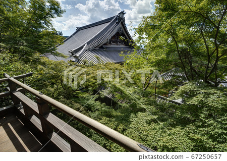Eikando Mikage 67250657