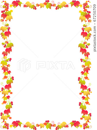 框架常春藤 67250709