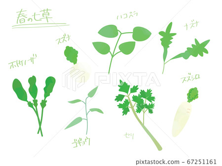 Spring seven herbs illustration set 67251161