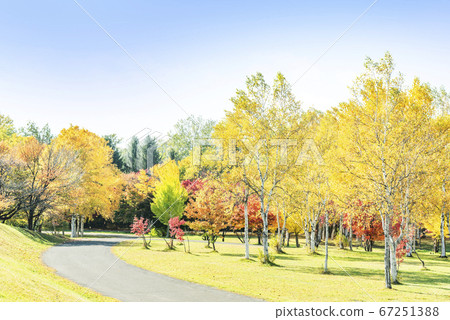 Makomanai Park Sapporo City 67251388