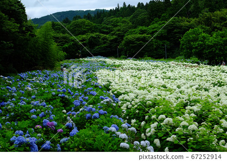 Michinoku繡球花園 Michinoku繡球花園 67252914