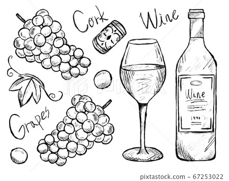 葡萄酒和葡萄的黑白手寫的插圖圖像 葡萄酒和葡萄的黑白手寫的插圖圖像 67253022