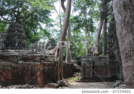 Taproth remains 67254402