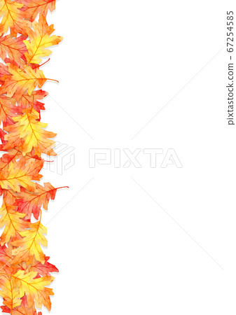 frame of red leaves in autumn concept isolated on white background. Flat lay, top view, copy space. frame of red leaves in autumn concept isolated on white background. Flat lay, top view, copy space. 67254585
