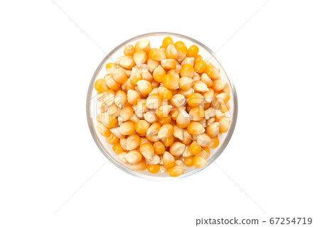 爆米花種子 67254719