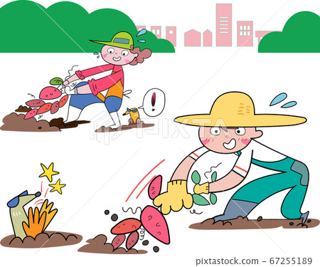 Illustration of a boy and a woman digging sweet potatoes in the field 67255189