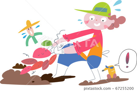 Illustration of a woman digging sweet potatoes in the field 67255200
