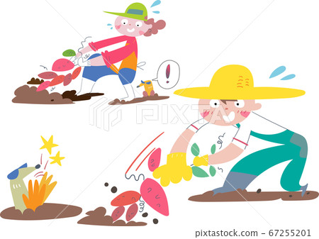 Illustration of a boy and a woman digging sweet potatoes in the field 67255201