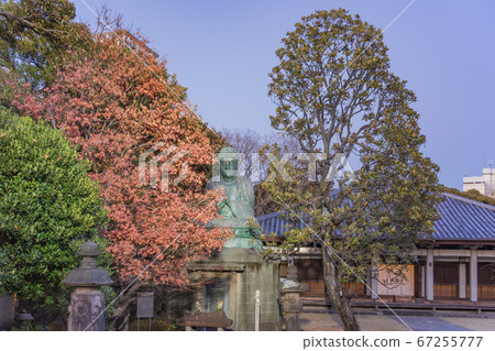 [Tokyo, Nippori] Shaka Nyorai, a large copper Buddha of the Tendai Hokke Buddhism of the Tendai Hokke sect at the Tennoji Temple of Yanaka Seven Lucky Gods who enshrines Bishamonten 67255777