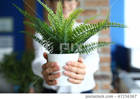 Woman holds flowerpot with flowers in her hands 67256367
