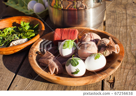 Close up eggs with green plants on them. Preaparation for colouring 67256638
