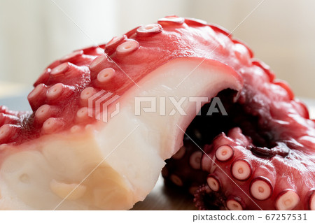 Octopus (boiled octopus) Octopus (boiled octopus) 67257531