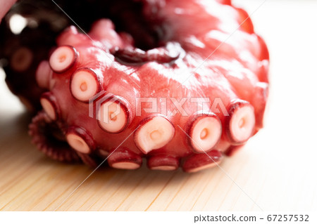 Octopus (boiled octopus) Octopus (boiled octopus) 67257532