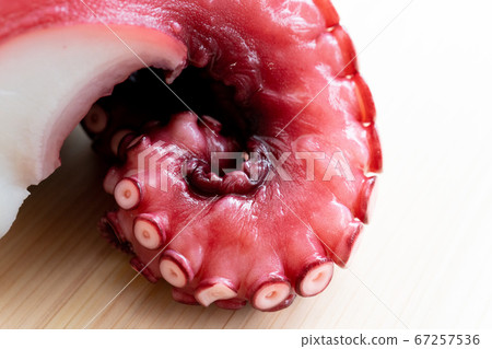 Octopus (boiled octopus) Octopus (boiled octopus) 67257536