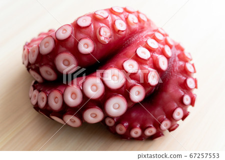 Octopus (boiled octopus) Octopus (boiled octopus) 67257553
