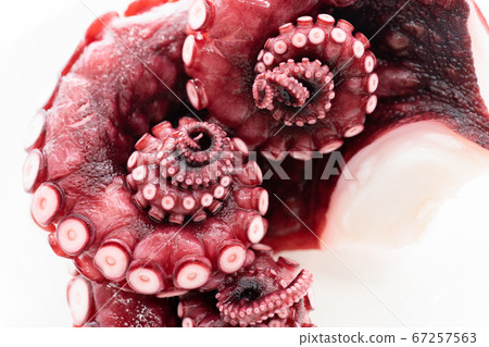 Octopus (boiled octopus) Octopus (boiled octopus) 67257563