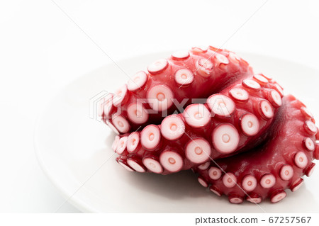 Octopus (boiled octopus) Octopus (boiled octopus) 67257567