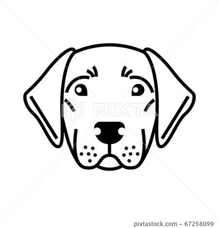 Labrador retriever 67258099