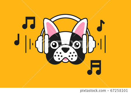 French bulldog with French bulldog with 67258101