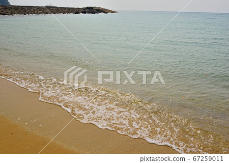 白色Cran海灘海灘 67259011