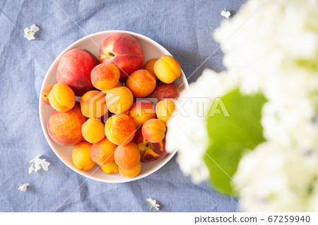 Ripe juicy apricots and peaches Ripe juicy apricots and peaches 67259940